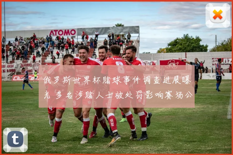 俄罗斯世界杯赌球事件调查进展曝光 多名涉赌人士被处罚影响赛场公信力