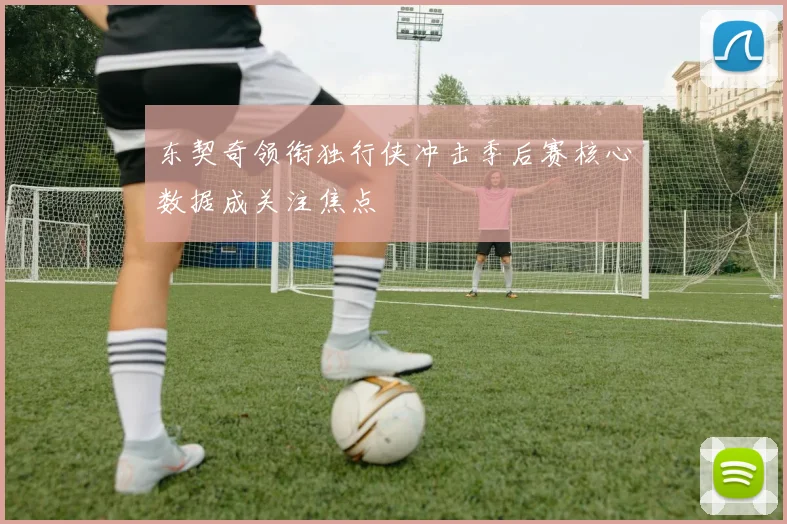 东契奇领衔独行侠冲击季后赛核心数据成关注焦点