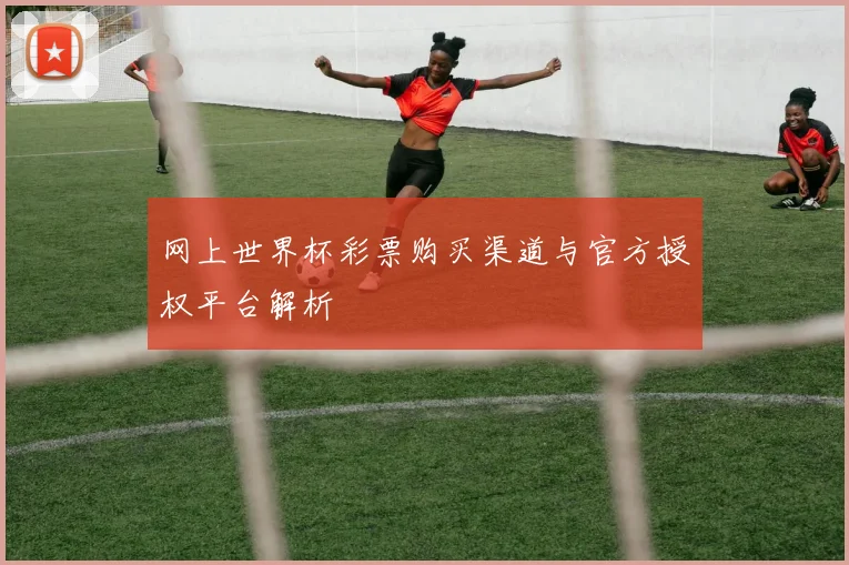 网上世界杯彩票购买渠道与官方授权平台解析