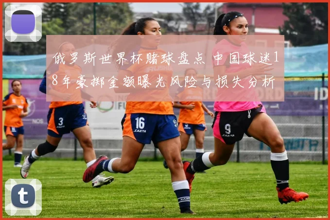 俄罗斯世界杯赌球盘点 中国球迷18年豪掷金额曝光风险与损失分析