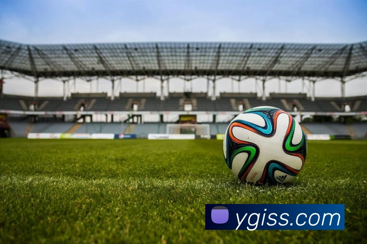 拼搏体育服务体系